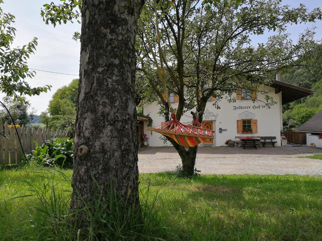 Zahrada ubytování Feldererhof