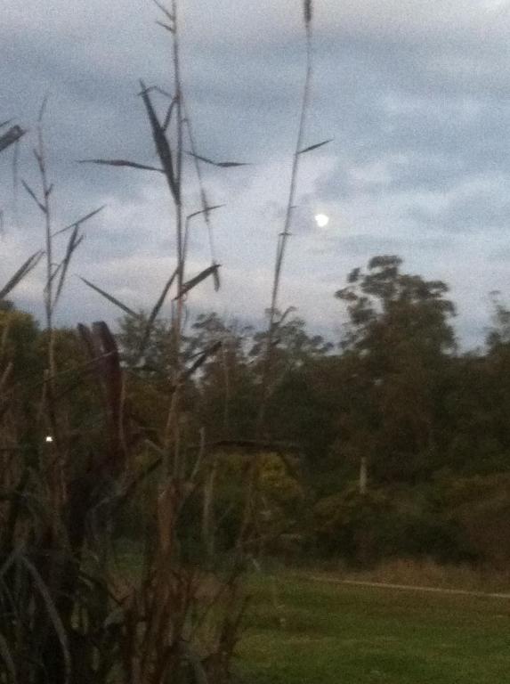 Casa Marieta Ocean Park