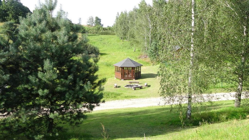 Small wooden gazebo on grassy clearing surrounded by birch trees and picnic benches, peaceful rural setting.