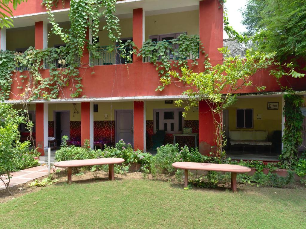 Jungle Lodge - Budget Double Room