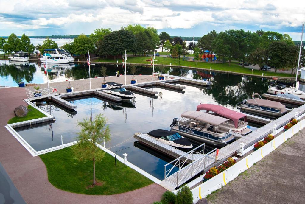 um grupo de barcos ancorados numa marina em Tall Ships Landing Coastal Resort em Brockville