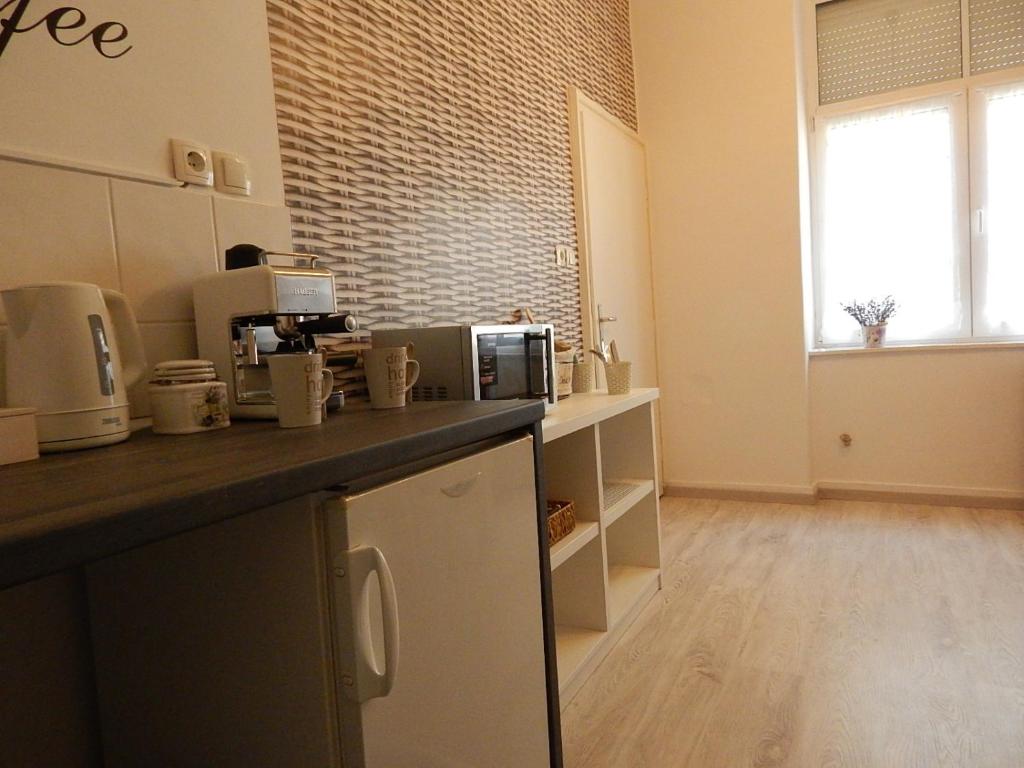 Kuchyň nebo kuchyňský kout v ubytování Ferencesek apartman