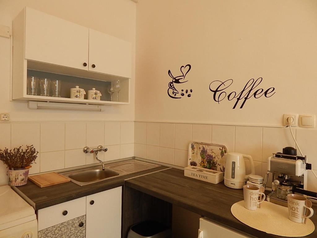 Kuchyň nebo kuchyňský kout v ubytování Ferencesek apartman