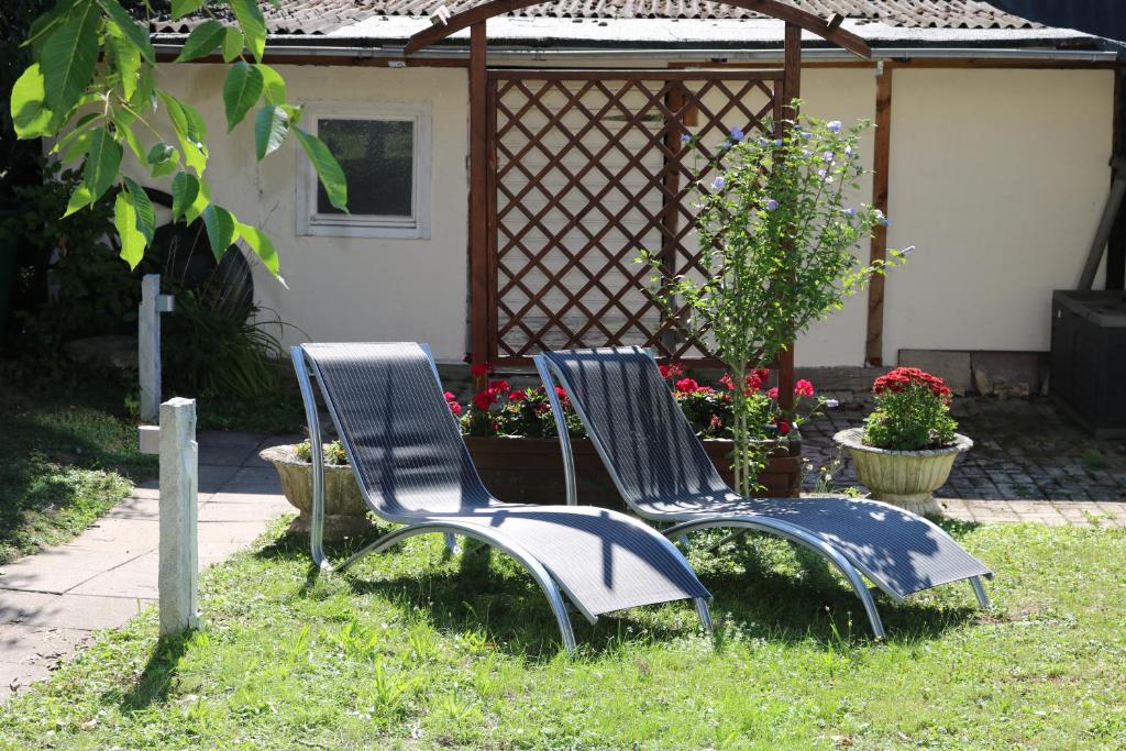 Zahrada ubytování Hotel Brigitte