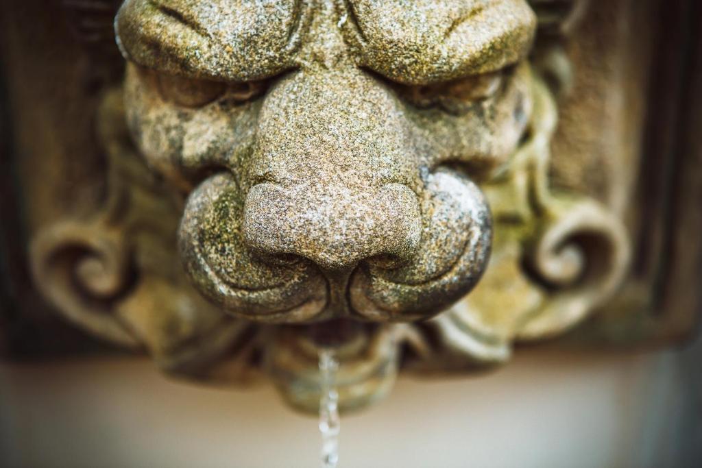 Hotel U Zlateho jelena - Resim 24