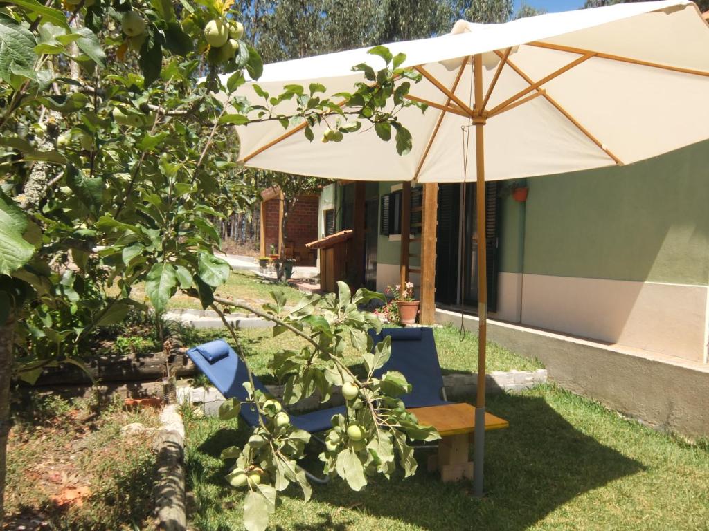 an umbrella and two chairs under a table and a umbrella at Ecobosque in Nadadouro