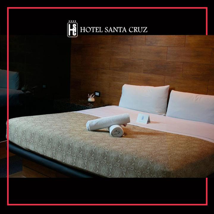 Hotel Santa Cruz photo