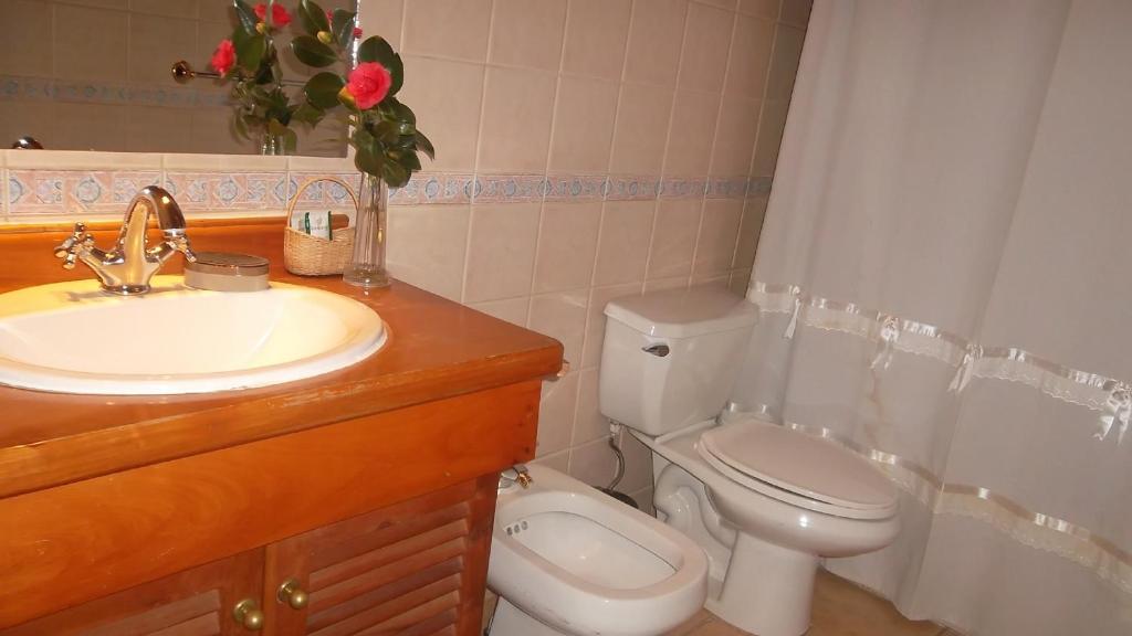 Uma casa de banho em Hotel Malalhue