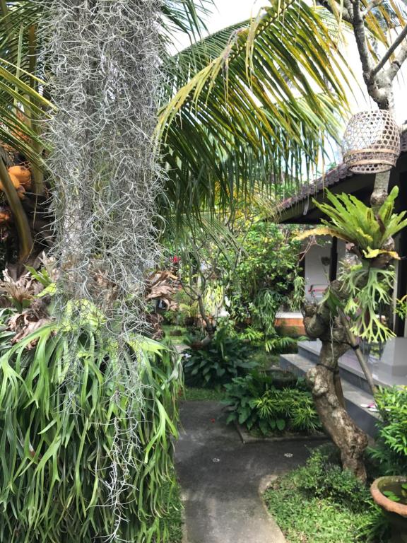 Zahrada ubytování DIMUWA Ubud