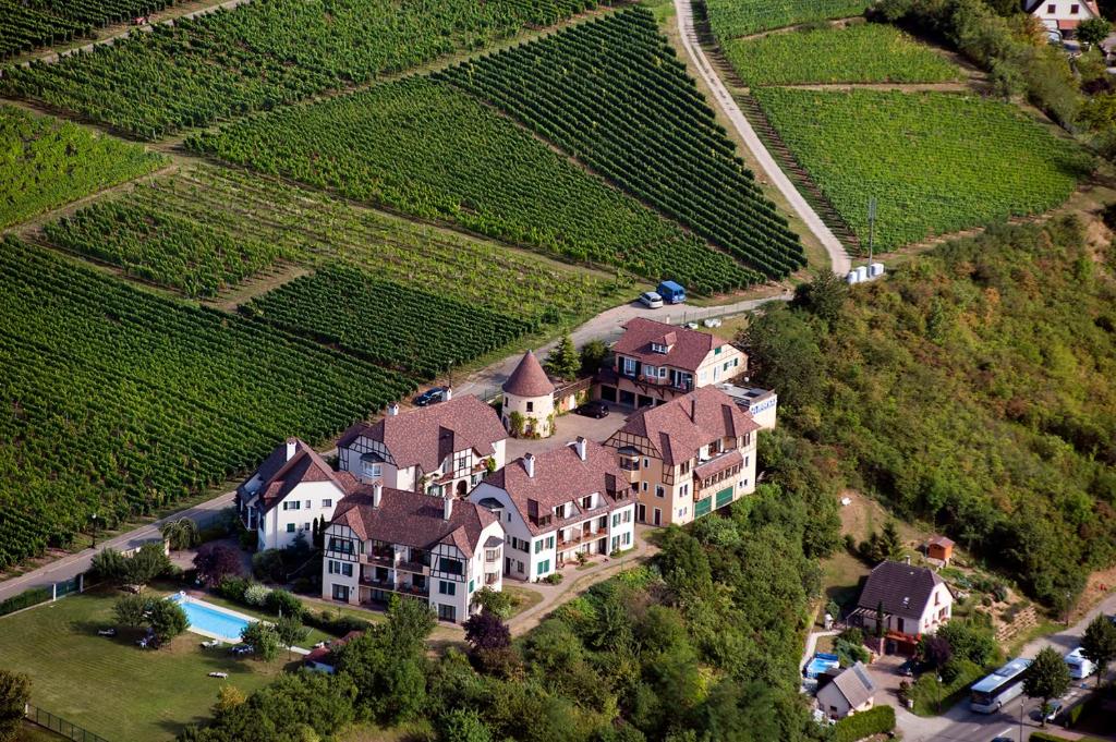 an aerial view of a large house in a vineyard at Kanzel Residences in Beblenheim