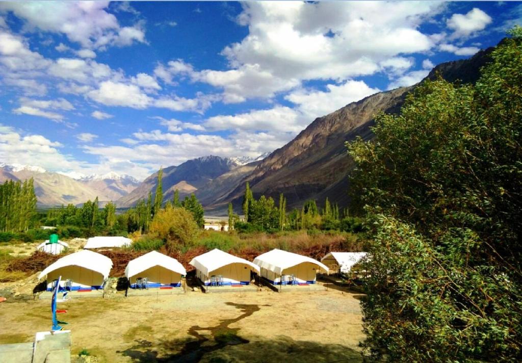 a group of white tents in a field with mountains at Shyok Camp - Nubra in Nubra