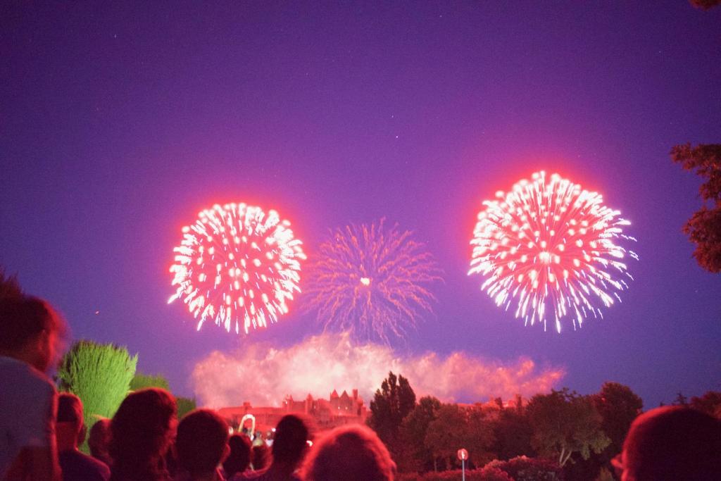 un groupe de personnes regardant des feux d'artifice dans le ciel dans l'établissement Art Home, à Carcassonne