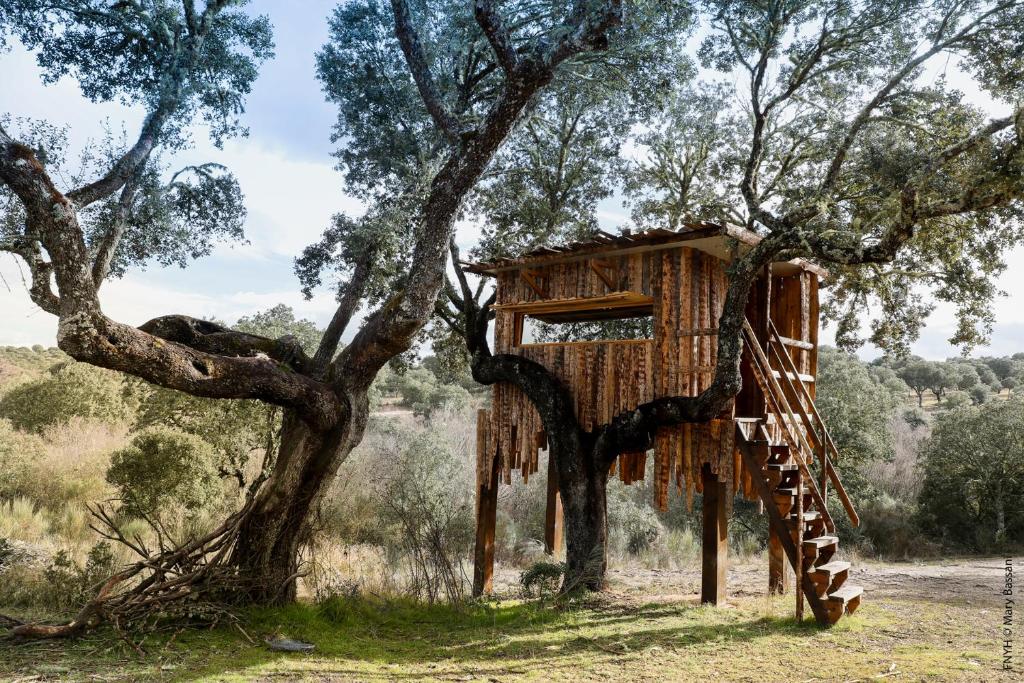 Fotografia z galérie ubytovania Eco-Lodge en la Reserva Privada Campanarios de Azaba - Proyecto de Conservación v destinácii Espeja