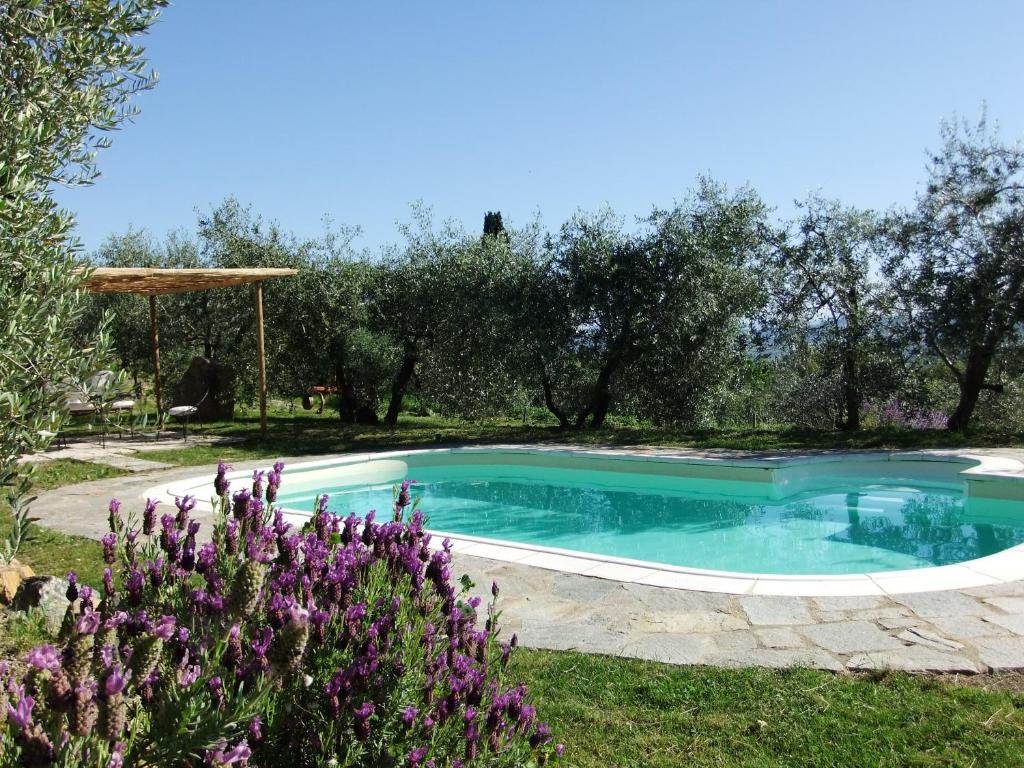 a swimming pool in a garden with purple flowers at Agriturismo Il Castagnolino in San Gimignano