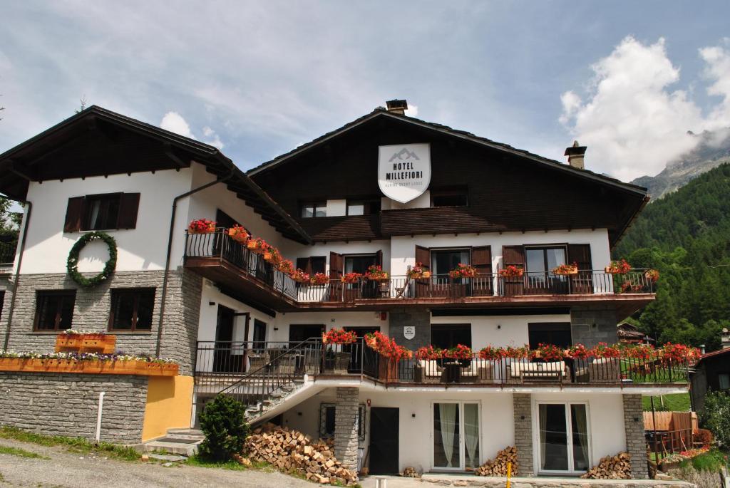 Příroda nedaleko hotelu