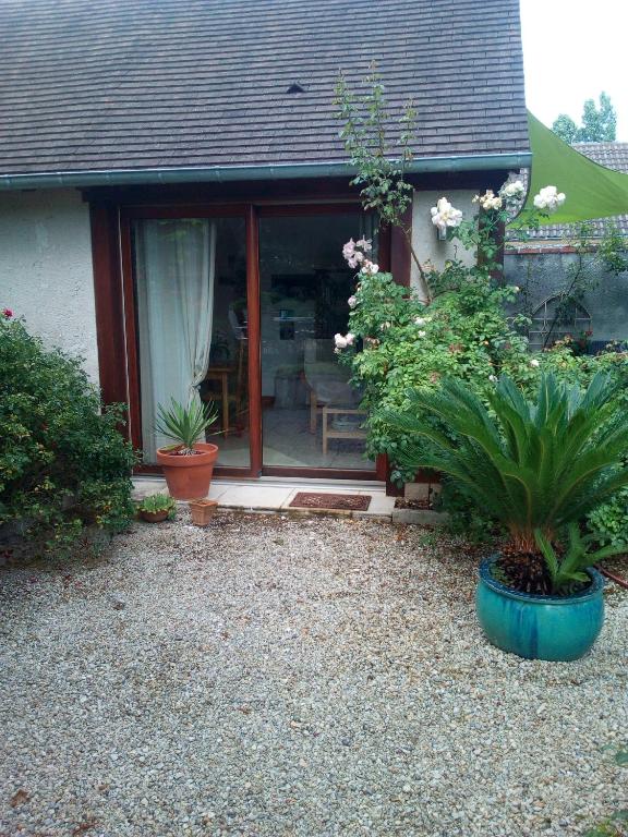 a house with potted plants in front of a window at L&#39;Orme Seul, Maison d&#39;hôtes in Vineuil