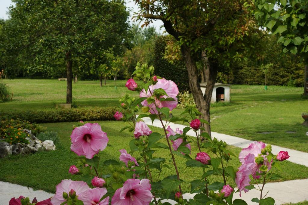 Un mazzo di fiori rosa in un giardino di Ca' dei Noccioli a Mirano