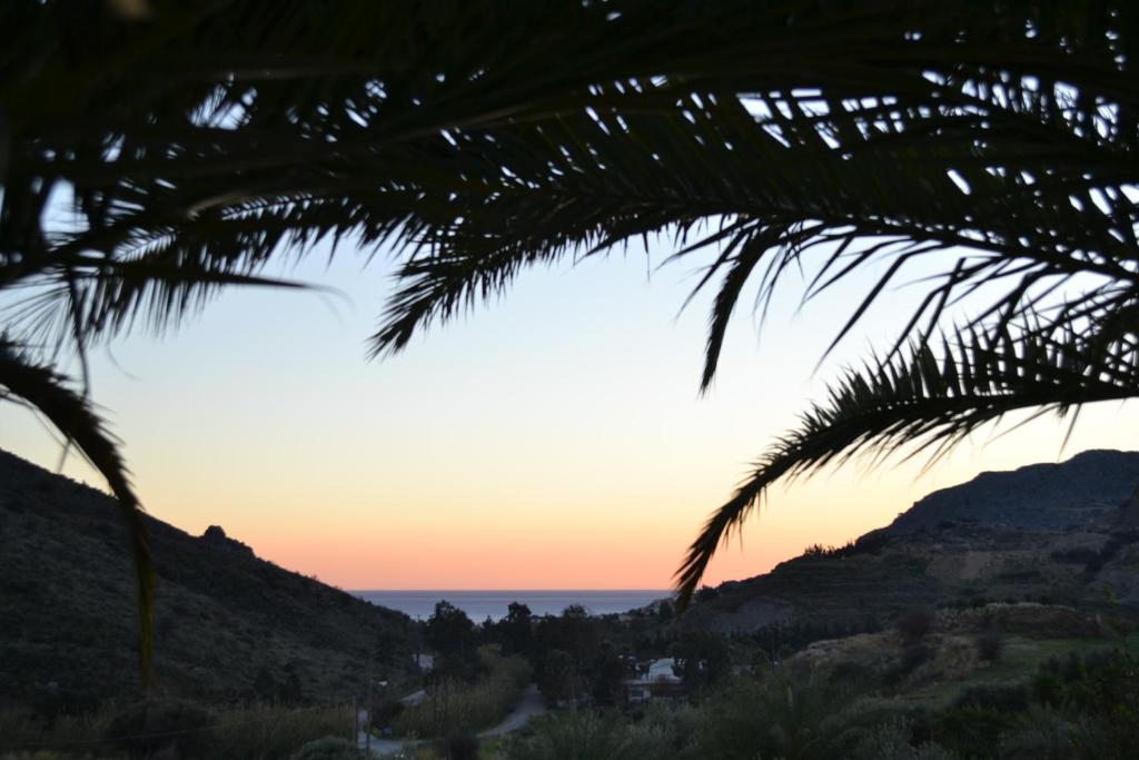 a sunset seen through a palm tree at Giorgos and Maria in Plakias