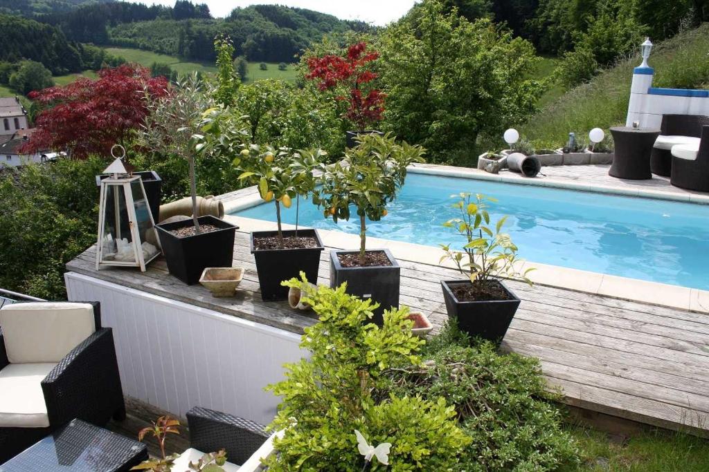 Bazén v ubytování Panoramaferienwohnung Monika mit Pool nebo v jeho okolí