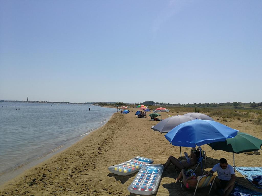 Przyroda w pobliżu tego pensjonatu