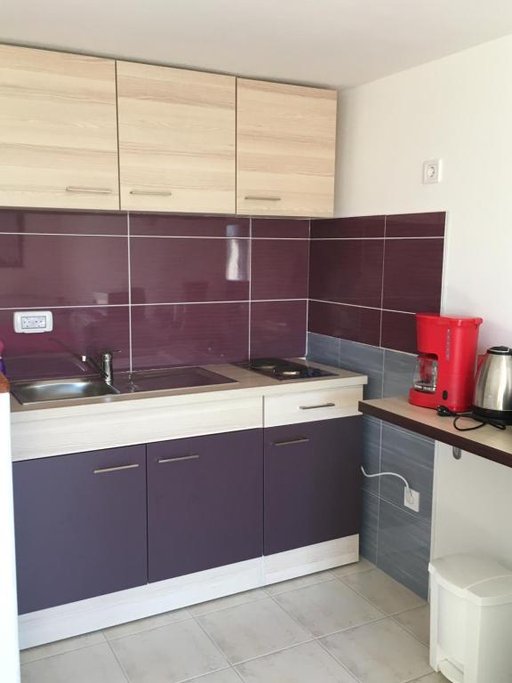 Kuchyň nebo kuchyňský kout v ubytování Apartman Milena