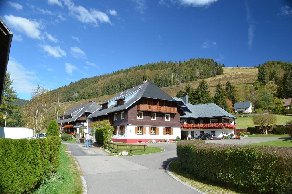 a large house in the middle of a street at Ferienwohnungen Sternenthal in Menzenschwand