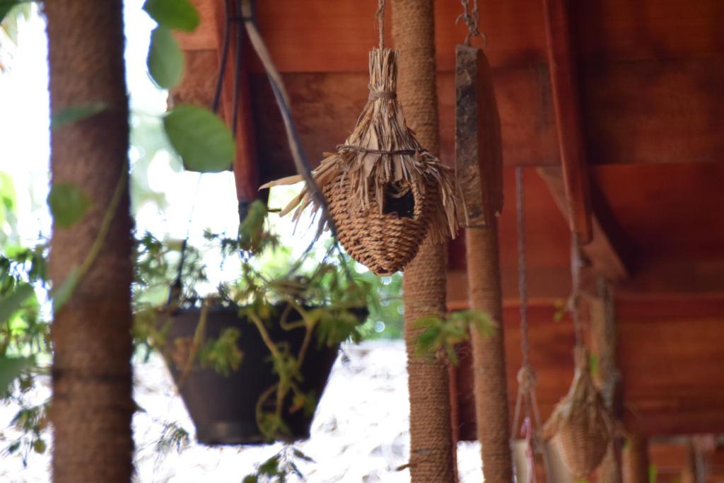Fotografie z fotogalerie ubytování Silaa Cabana v destinaci Trincomalee