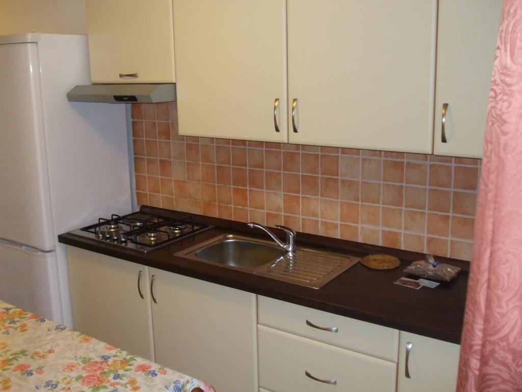 Kuchyň nebo kuchyňský kout v ubytování Apartment Mara