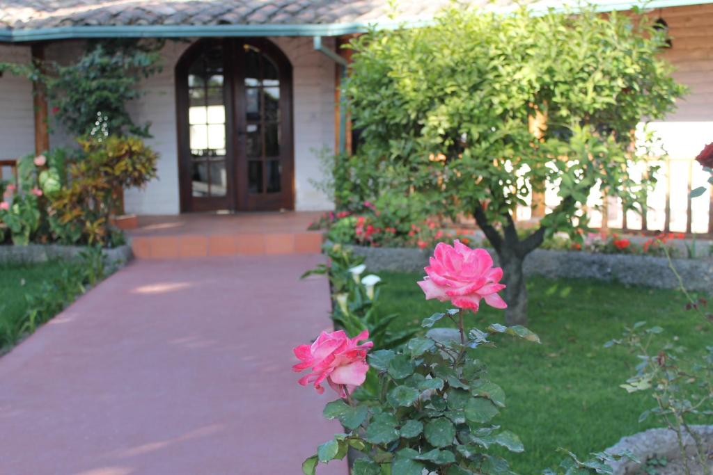 Zahrada ubytování La Quinta San Andrés