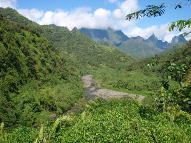 Le Relais de la Maroto - photo 11 - Tahiti, Polynésie