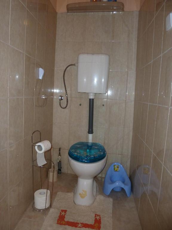 a bathroom with a toilet with a blue seat at Alföldi Vendégház in Hódmezővásárhely
