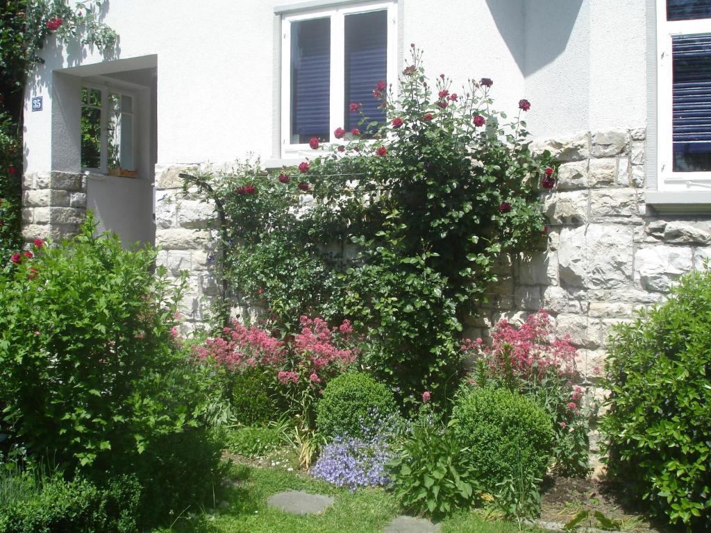 Zahrada ubytování Villa Am Rosenfelspark