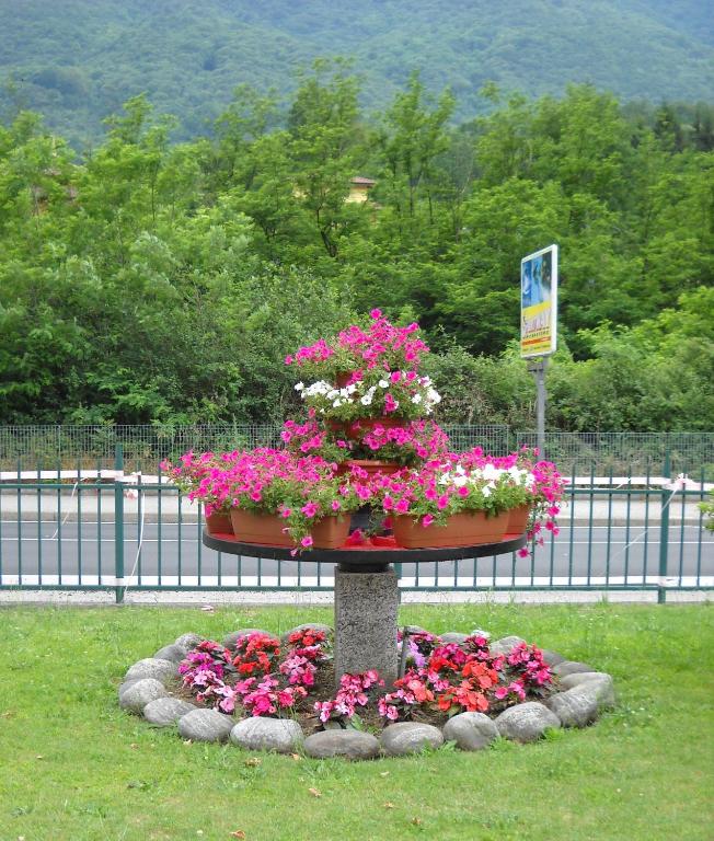 Zahrada ubytování Albergo Ristorante Cicin