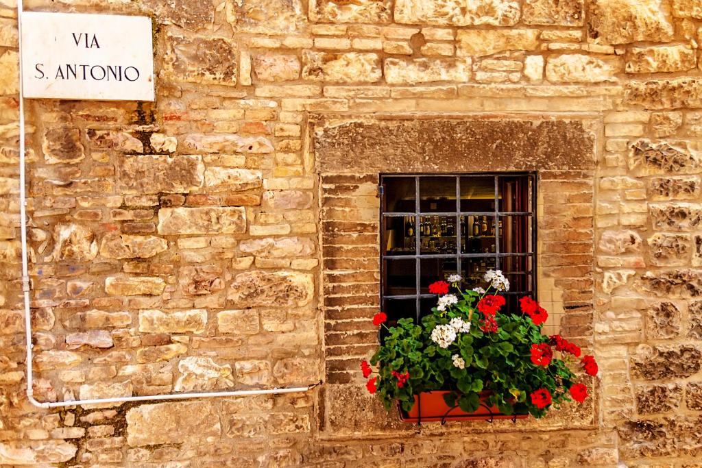 Fotografie z fotogalerie ubytování Hotel Pax v destinaci Assisi