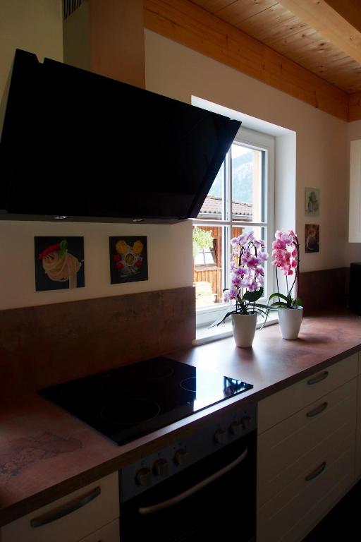 Kuchyň nebo kuchyňský kout v ubytování Ferienwohnung Almflair Chalet