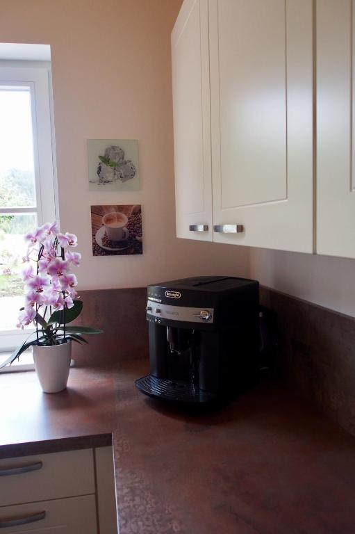 Kuchyň nebo kuchyňský kout v ubytování Ferienwohnung Almflair Chalet