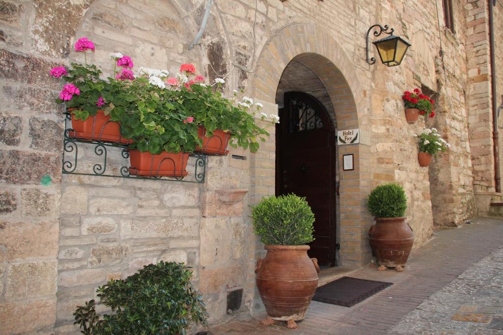 a stone building with potted plants in front of a door at Hotel Pax in Assisi