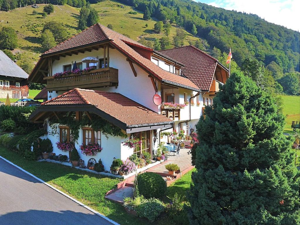 Příroda nedaleko apartmánu