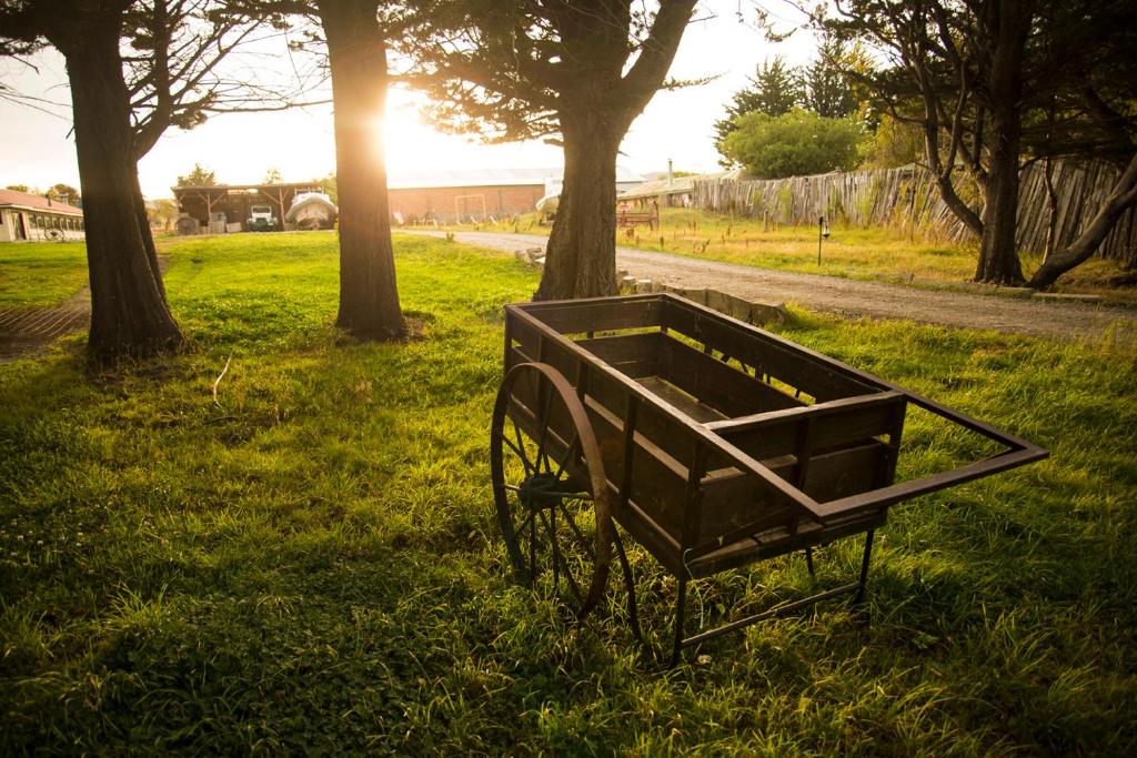 Fotografie z fotogalerie ubytování Estancia Río de Los Ciervos v destinaci Punta Arenas