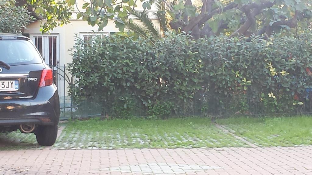Vonkajšia záhrada v ubytovaní Villa Monteggia