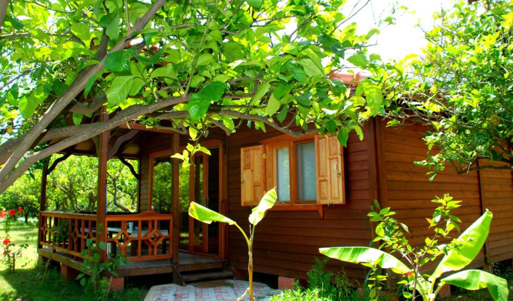 Fotografie z fotogalerie ubytování Baraka House v destinaci Çıralı