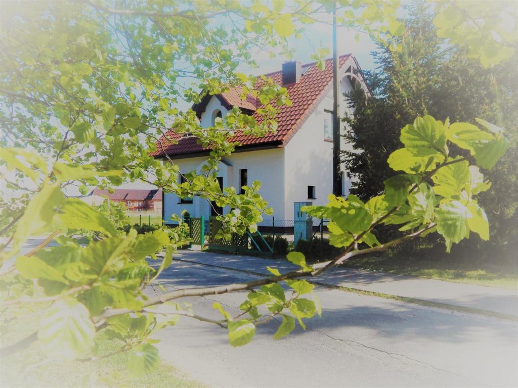 Pokoje Lawendowe Dąbki - Housity