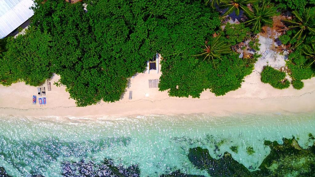 an overhead view of a beach with trees and the ocean at Rasdhoo Island Inn Beachfront in Rasdu