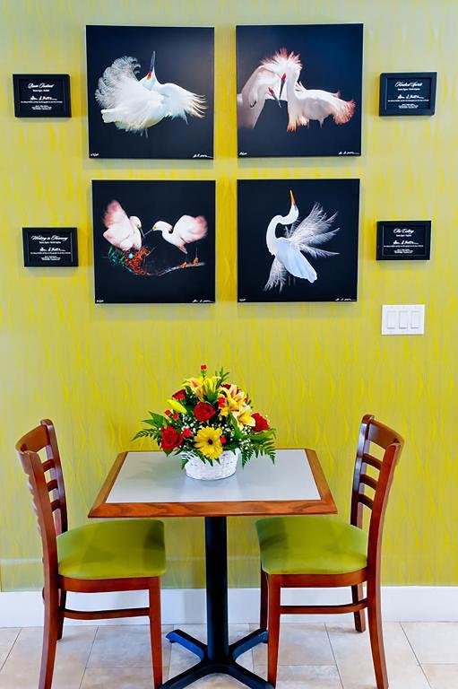 Gambar di galeri bagi Silver Palms Inn di Key West