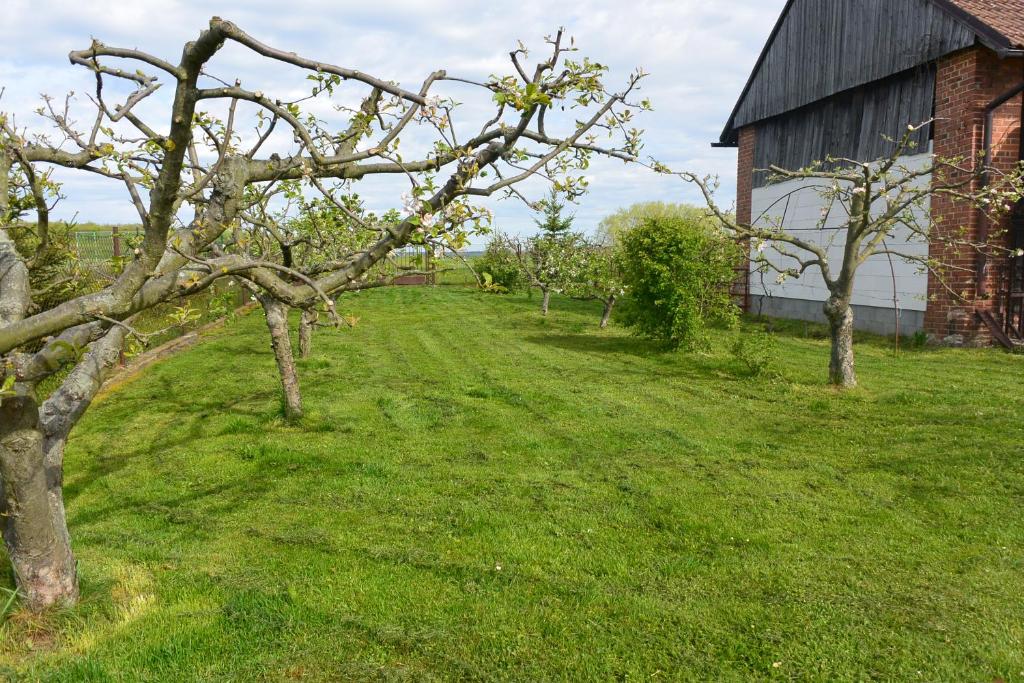 Ogród w obiekcie Rodinné ubytování - Family accommodation