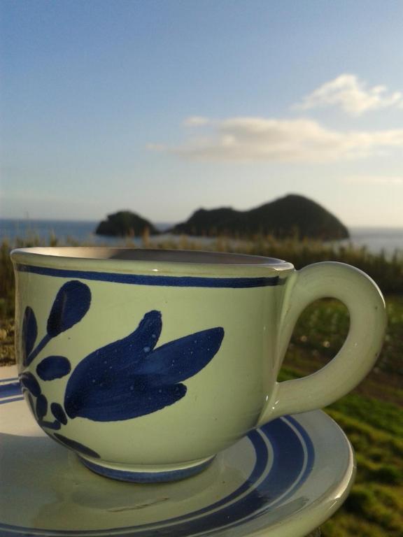 una taza de café azul y blanco sentada en un plato en Casa da Cancela, en Vila Franca do Campo