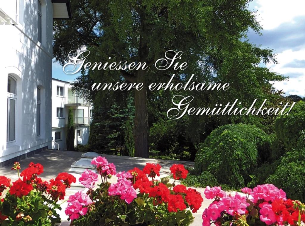 eine Gruppe von Blumen vor einem Haus in der Unterkunft Hotel Villa Luise in Bad Rothenfelde