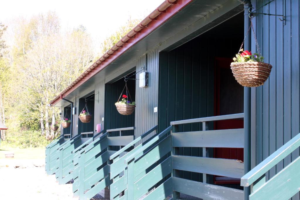 Logierait Pine Lodges - Camera Doppia O Gemella Con Bagno