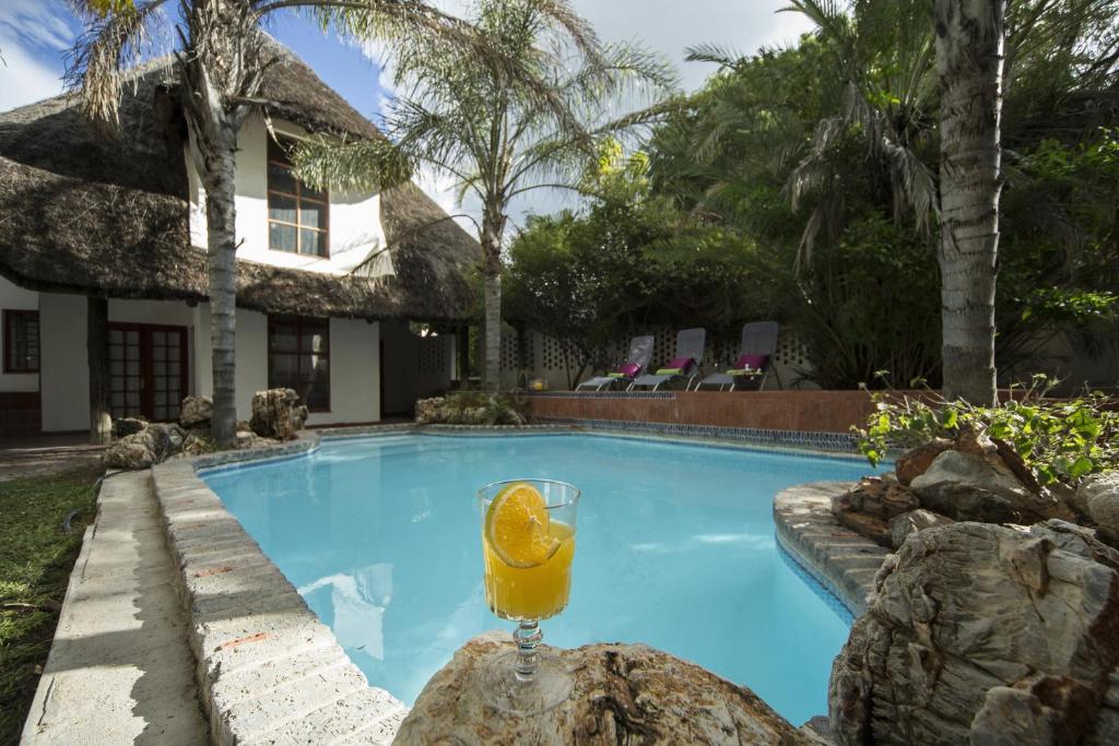 a glass of orange juice sitting on a rock next to a swimming pool at Out of Africa Guesthouse in Otjiwarongo