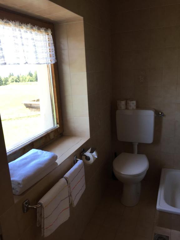 Koupelna v ubytování Pension Höggerhof